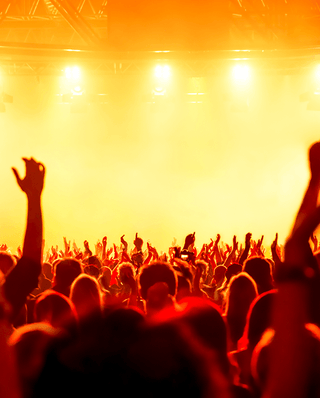 Homepage - Hero logo - Festivals